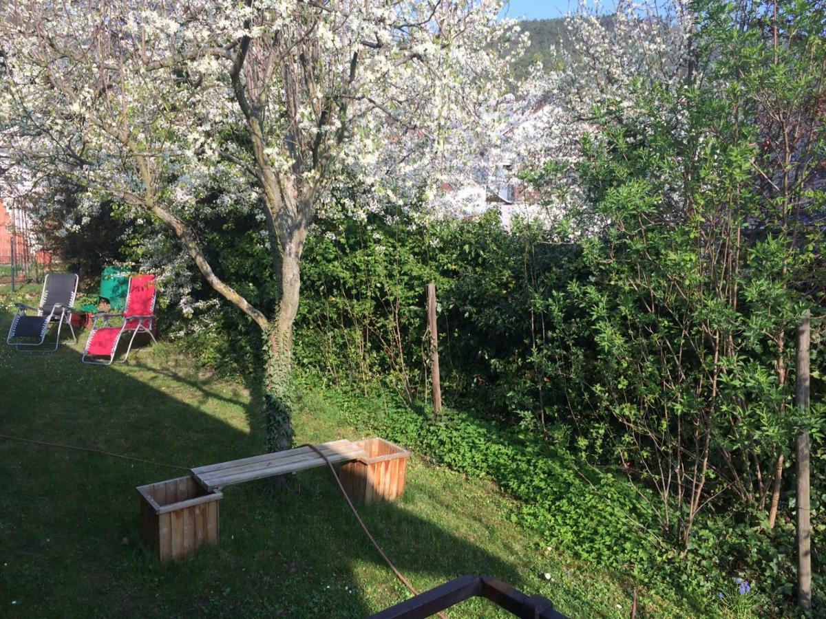 Schones Zimmer In Gimmeldingen/ Konigsbach Neustadt an der Weinstraße Exteriér fotografie